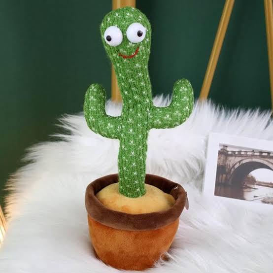 Cactus toy